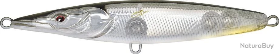 ASTURIE 170 - GHOST LANCON 1 ASTURIE 170 - GHOST LANCON