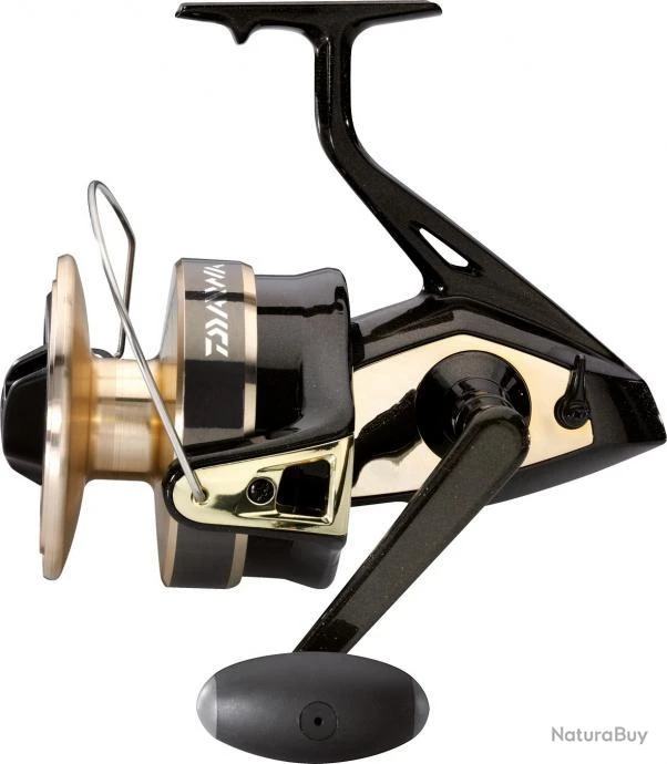 Gold Silver 100 B Moulinet Daiwa 1 Gold Silver 100 B Moulinet Daiwa