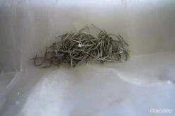 Hameçons 11 Mustad Par 500 Blanc Extra Court