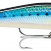 Leurre Rapala X-rap Magnum Xtreme 16 Cm HDBSRD