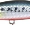 Leurre Duo Rough Trail Blazin 70 S SARDINE