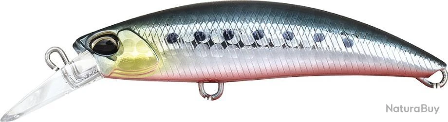 Leurre Duo Rough Trail Blazin 70 S SARDINE 1 Leurre Duo Rough Trail Blazin 70 S SARDINE