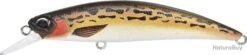 Leurre Duo Spearhead Ryuki 70 S BROWN GOBIE