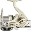 Daiwa MOUL.EMBLEM SL 20 35 CW QD P