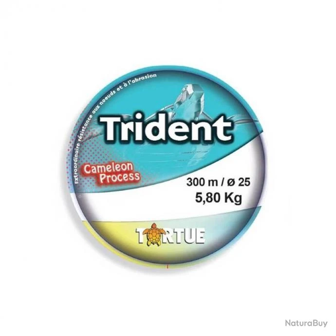 Nylon Tortue Trident Coque 300m Ø 45/100 1 Nylon Tortue Trident Coque 300m Ø 45/100