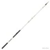 Triforce 3.88 M 20-60 G Canne Bombette Daiwa
