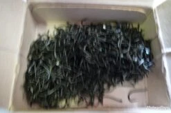 Hameçons 15 Canelle Par 1000 Bleu Renversé -Pêcheur Malin Promos Boutique 00003 Hamecons 15 canelle par 1000 bleu renverse