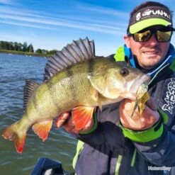 Leurre Boomer 14g Gunki Acid Craw MS -Pêcheur Malin Promos Boutique 00005 Leurre Boomer 14g Gunki Acid Craw MS