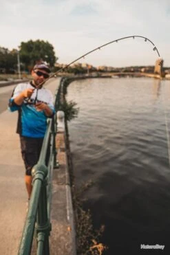 FOX RAGE Cannes Perch Poker 200Cm 7-28G -Pêcheur Malin Promos Boutique 00010 Cannes Perch Poker 200Cm 7 28G