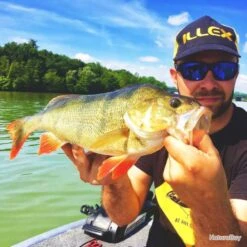 Leurre Crazy Crusher 21g Illex Fire Tiger 11 Leurre Crazy Crusher 21g Illex Fire Tiger -Pêcheur Malin Promos Boutique 00012 Leurre Crazy Crusher 21g Illex Fire Tiger