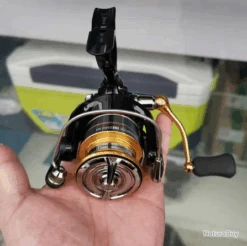 Daiwa Moulinet De Pêche 4000 5.2:1 Carnassiers, Mer, Surfcasting M15 -Pêcheur Malin Promos Boutique 00033 Moulinet de peche 4000 5.2 1 carnassiers mer surfcasting M15