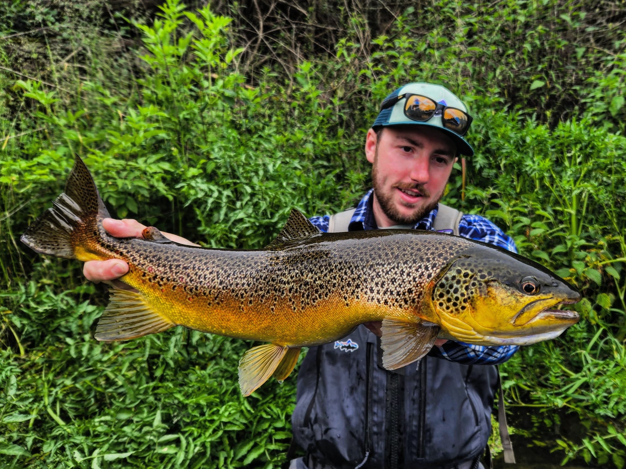 Pêcheur Malin Promos Boutique -Pêcheur Malin Promos Boutique peche truite leurre grande riviere 2